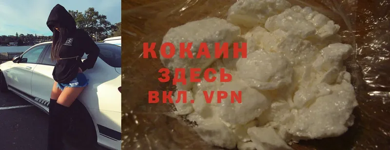 Виды наркотиков купить Октябрьск Каннабис  A PVP  Гашиш  Cocaine 